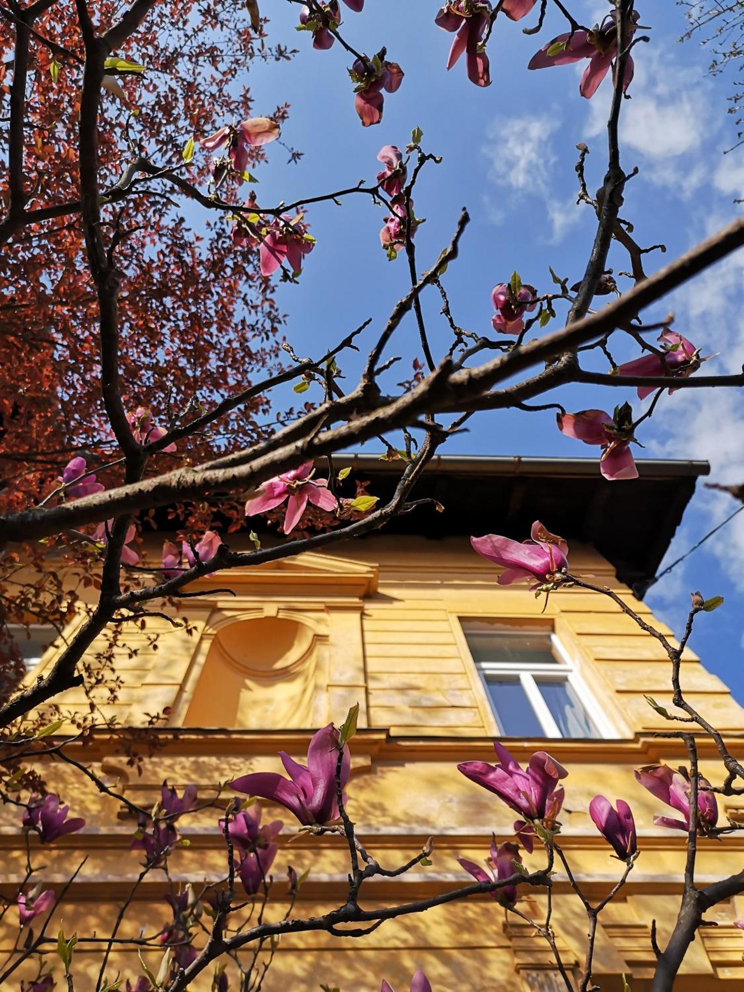 The Villa, Ljubljana City Center Exterior photo
